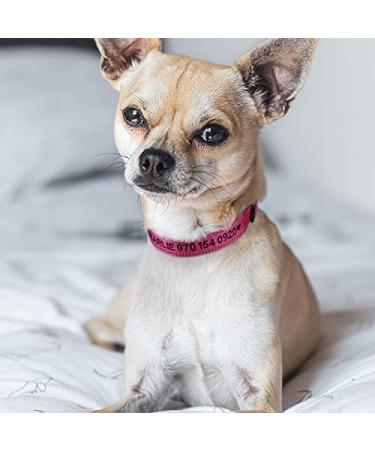 Personalized Dog Collar for Small Dogs Embroidered Reflective Nylon Pet Name & Phone Number Hot Pink XS Tagme (1 Pack) - Buy Online on GoSupps.com