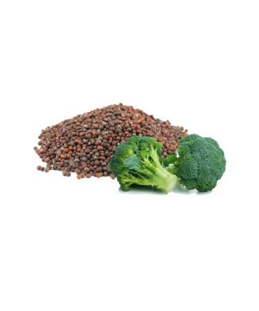 Broccoli Seed Oil - 100% Pure Organic 8 oz | Cold Pressed Carrier Oil for Skin Hair & Body | Nourishing & Hydrating | Fair Trade - Buy Online on GoSupps.com