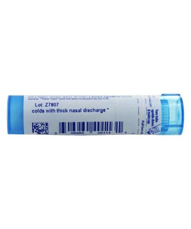 BOIRON USA Kali Bichromicum 30c - Homeopathic Allergy Relief | Fast International Shipping - Buy Online on GoSupps.com