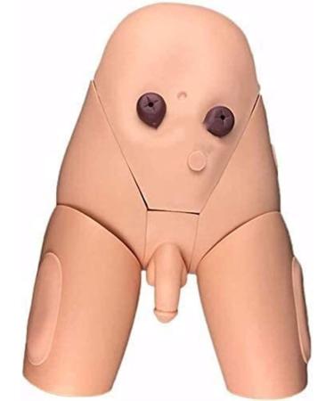 Buy Catheterization Model - Male & Female Urethral Simulator Kit for Medical Training | International Shipping - Buy Online on GoSupps.com