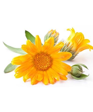 Organic Calendula Baby Oil 3-Pack - Soothing Massage Bath Oil for Baby Sleep & Dryness - Lavender, Chamomile, Jojoba - Mambino Organics - Buy Online on GoSupps.com