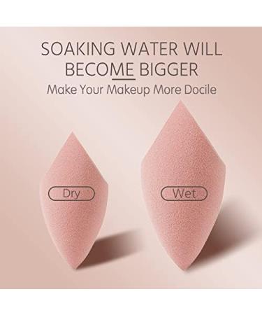 Makeup Sponge Makeup Puff Microfiber Velvet Sponges Makeup Blender Spong Powder Egg Shaped Foundation Concealer Cream Face Cosmetic Makeup Sponge Holder(BLACK-1) - Buy Online on GoSupps.com