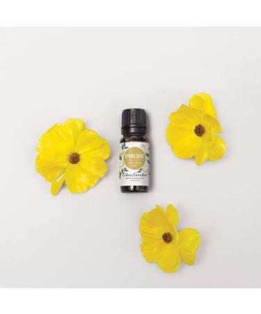 Edens Garden Spring Shine Essential Oil Synergy Blend - Limited Edition | 10ml | 100% Pure Therapeutic Grade - Buy Online on GoSupps.com