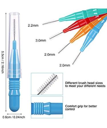 Patelai Toothpick Tooth Flap Dental Toothbrush & Oral Cleaning Tool - 20 Pack with Storage Box - Red Blue Green Orange - Buy Online on GoSupps.com