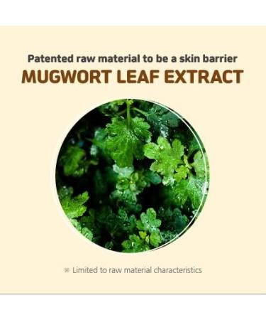 Briel Artemisia Bubble Hand Wash 250ml - Gentle Baby & Kids Skincare | International Shipping Available - Buy Online on GoSupps.com