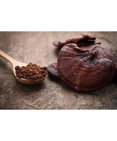 Carefood - Organic Pure Reishi Powder - 100% Organic Superfood Suitable for Vegans - Easy to Mix and Improve Sleep Quality - 125g - Buy Online on GoSupps.com