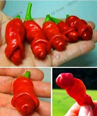 Nuova 200 pezzi Hot Chilli Reaper semi di Verdure per giardinaggio Rosso Scuro - Buy Online on GoSupps.com