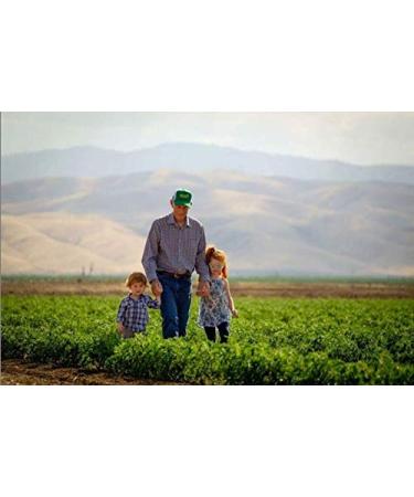 Karen's Naturals Freeze-Dried Corn - Premium 8 oz (224 g) Veggies for Healthy Snacking - Buy Online on GoSupps.com