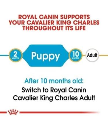 Royal Canin Cavalier King Charles Puppy 1.5kg (Pack of 2) - Buy Online on GoSupps.com