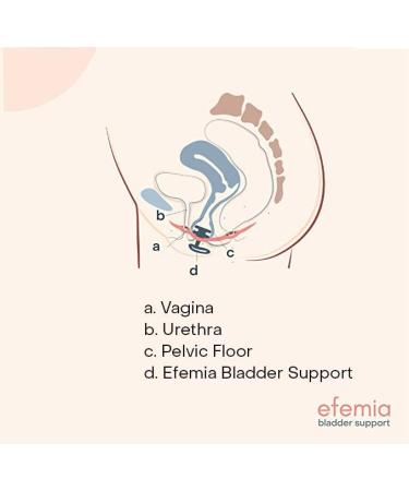 Efemia Bladder Support Device for Women with Stress Urinary Incontinence Vaginal Tampon for Sports Comfortable & Discreet Reduces/Prevents Leaks 16hrs/Day Up to 3 Months - Pack of 3 3-Pack - Buy Online on GoSupps.com