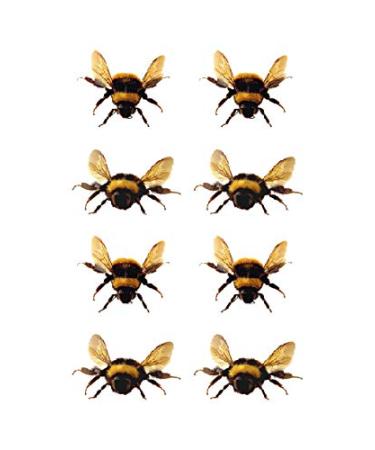 SanerLian Bee Ladybug Temporary Tattoo Stickers - Set of 12 | Waterproof Cartoon Fake Tattoos for Kids | Ideal for Hand, Arm, Party Favors - Buy Online on GoSupps.com