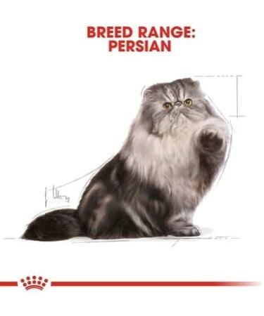 Royal Canin Persian Adult in Gravy Wet Cat Food 85g (48 Pack) - Buy Online on GoSupps.com