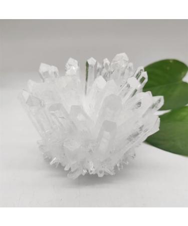 Home Decor 1pcs Natural Raw Quartz White Clear Crystal Cluster Stones Crystal Point Specimen Home Decoration Raw Crystals Gifts Natural Crystal (Size : 700-800g) Crystal Cluster (Size : 300-400g) - Buy Online on GoSupps.com