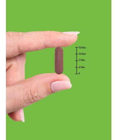 Nature's Truth Red Yeast Rice Capsules - 120 Count | Non-GMO & Gluten Free - Buy Online on GoSupps.com