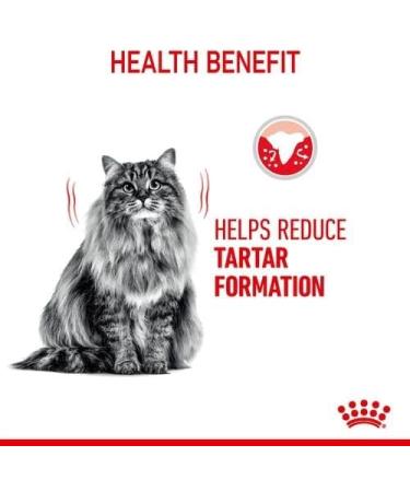 ROYAL CANIN Oral Care Dry Cat Food 400g (Pack of 2) - Buy Online on GoSupps.com