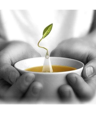 Tea Fort BULK PACK Chamomile Citron Herbal Tea 48 Handcrafted Pyramid Tea Infusers by Tea Forte - Buy Online on GoSupps.com