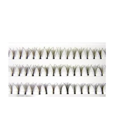 60 Stand 12mm Premium Individual False Fake Eyelashes Flare Corner Lashes by Desire