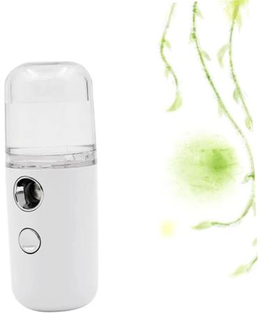 Baluue 1pc Air Humidifier Handheld Face Sprayer Mist Sprayer Mini Facial Sprayer Skin Care Tools White - Buy Online on GoSupps.com