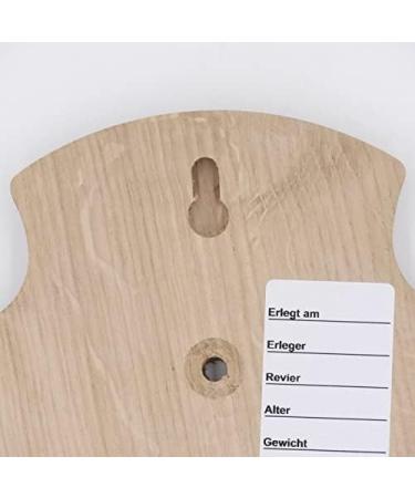 5 Piece REH Trophy Signs - Light Oak Plaques with Pine Compartment | 19x11 cm - Ideal for Awards & Decor | International Shipping - Buy Online on GoSupps.com