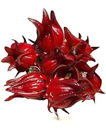 Fujian Friday Hibiscus flowers edible petals for herbal tea drinks 100g - Buy Online on GoSupps.com