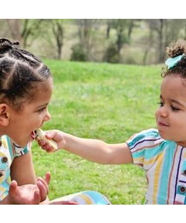 Allen's Scottish Shortbread Spring Flavors 3.25 oz 4 Pack - Delicious Spring Flavors - 4 Pack of 3.25 Ounce Shortbread Cookies - Buy Online on GoSupps.com