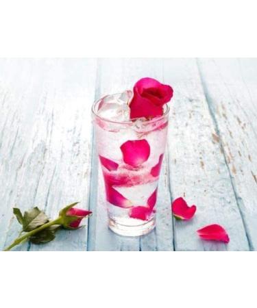 Rose Water Hydrosol with Glycerin, Aloe Vera, Vitamin C & Witch Hazel - 100% Natural Vegan Toner for Face, Hair & Body - 32 oz Bulk Size - Hydrating & Cleansing Formula - Buy Online on GoSupps.com