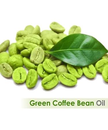Crysalis Green Coffee Bean (Coffea Arabica.) |100% Pure & Natural Undiluted Cold Pressed Oil Organic Standard/Skin Care Hair Care Fragrances/Energise The Atmosphere-15Ml/ External Use Green Coffee Bean 15 ml (Pack of 1) - Buy Online on GoSupps.com