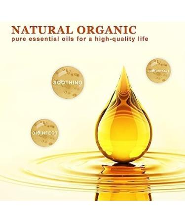Organic Essential Oil Set - Mango Watermelon Passion Fruit Cherry Lime & Freesia - 100% Pure 10ML | Perfect for Diffusers Cleaning and Home Fragrance - 6 Pack - Buy Online on GoSupps.com