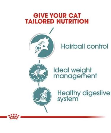 Royal Canin Hairball Care Wet Cat Food in Gravy 24 x 85g - Buy Online on GoSupps.com