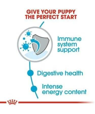 Royal Canin Mini Puppy Food 4kg Poultry 4 kg (Pack of 1) - Buy Online on GoSupps.com