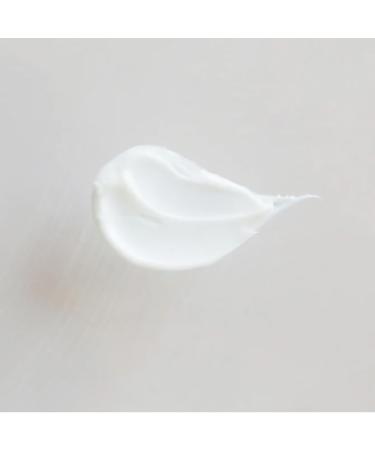 Little Seed Farm Goat's Milk Face Moisturizer - All Natural Organic Moisturizer Face Cream - 2.0 Ounce 2 Fl Oz (Pack of 1) - Buy Online on GoSupps.com