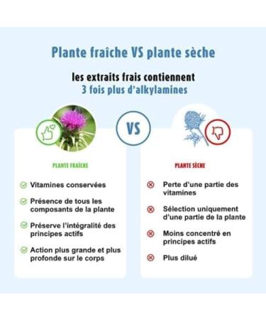 A.VOGEL - Dietary supplement - Fludified and soothed digestion - Supports the proper functioning of the liver - Antioxidant and detox - Organic milk thistle extract - 50 ml - Buy Online on GoSupps.com
