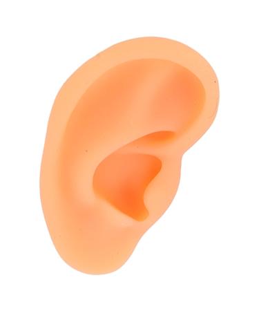 Simulated Left Ear Mould - Lifelike Fake Ear Model for Hospital Education - Buy Online on GoSupps.com