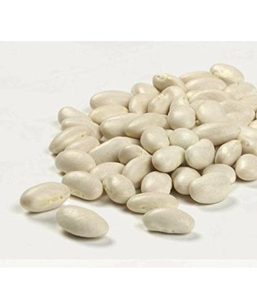 Camellia Brand Dry Great Northern Beans - 1 lb | Premium Quality Beans - Buy Online on GoSupps.com