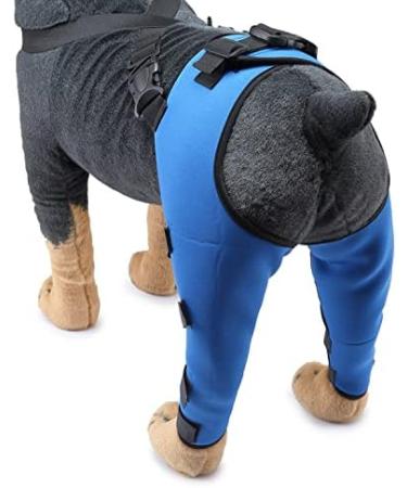 Pet Dog Knee Brace ACL Brace for Dogs Rear Leg Dog Braces for Back Leg for Support for Heals Prevents Injuries Sprains Blue Small Small Blue - Buy Online on GoSupps.com