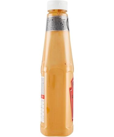  Italian Gourmet E.R. Heinz Burger Sauce Classica 875ml Up Right Bottle Chips Spices Bottle + Italian Gourmet Polpa 400g - Buy Online on GoSupps.com