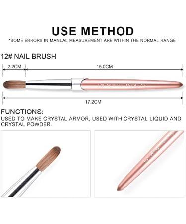 KADS 100% Kolinsky Sable Acrylic Brush Nail Brush for Acrylic Application Round Head Crimped Nail Art Brush Manicure Tool (12#) - Buy Online on GoSupps.com