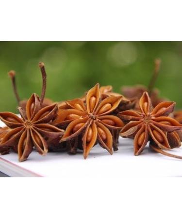 Premium 12oz Whole Chinese Star Anise Pods - Dried Spice (12 OZ) - Buy Online on GoSupps.com