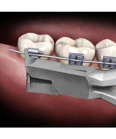 Buy Dental Orthodontic Distal Cutter Plier | Flush Cutter & Safety Holder | Cut Wire Up to .021 x .025 - Buy Online on GoSupps.com