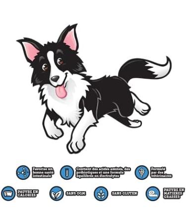DoggyRade Isotonic Dog Water 500ml | Refreshing & Energizing Hydration for Dogs - Buy Online on GoSupps.com