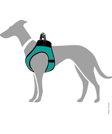 Hunter Hilo Comfort Harness for Small Dogs - Turquoise Mesh & Reflective Elements Size M | International Shipping Available - Buy Online on GoSupps.com