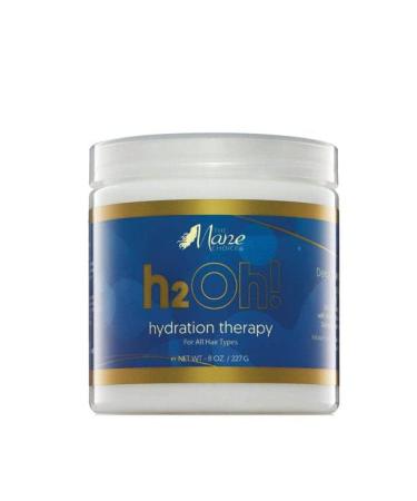 The Mane Choice H2Oh! Hydration Therapy Hair Masque 8 Oz