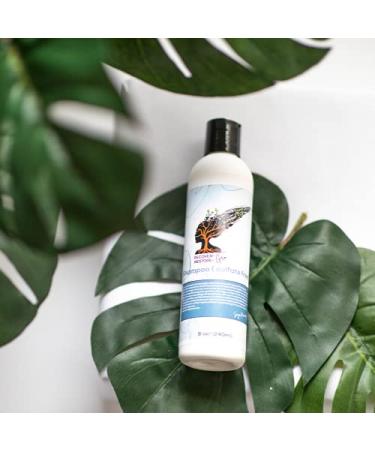 Recover Restore Gro Hydrating Shampoo - Sulfate Free Vegan Aloe Vera | Hair Growth for All Hair Types | 8oz - Buy Online on GoSupps.com