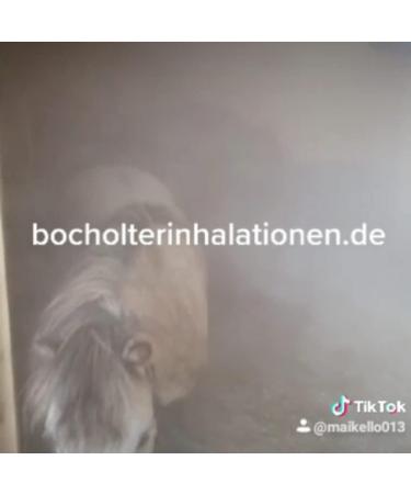  Dead Sea Brine Bocholter 0.9% Inhalation 1 l - Buy Online on GoSupps.com