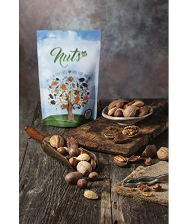 Mixed Nuts In Shell - Almonds, Walnuts, Hazelnuts, Pecans, Brazil Nuts | 1 LB - No Added Colors, No Artificial Flavors - Buy Online on GoSupps.com