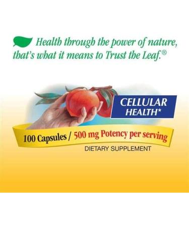 Nature's Way Choline & Inositol 1000 mg - 100 Capsules for Health Support - Buy Online on GoSupps.com