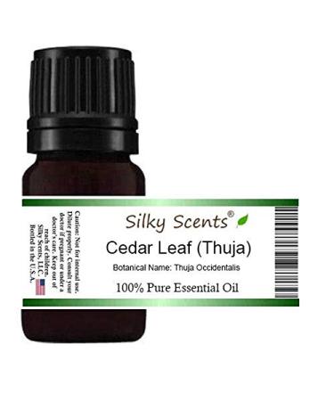 Cedar Leaf or White Cedar Essential Oil (Thuja Occidentalis) 100% Pure and Natural 1OZ30ML EO169-1 Ounce-30ML