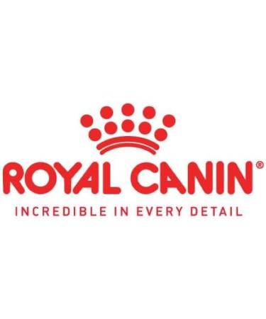 Royal Canin Mini Adult Wet Dog Food In Loaf Cans 12 x 195g - Buy Online on GoSupps.com