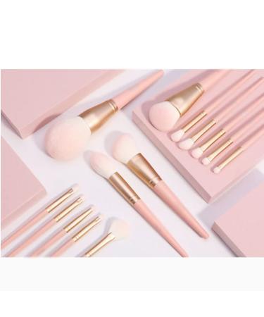 14-Piece Pig Makeup Brush Set | Blush Powder & Eye Shadow Beauty Tools | International Shipping Available - Buy Online on GoSupps.com