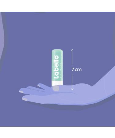 Buy Labello Aloe Vera & Vitamin E - Hydrating Lip Balm for Soft Lips | International Shipping - Buy Online on GoSupps.com